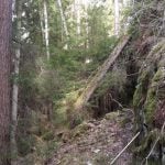 GPR measurement geophysics application