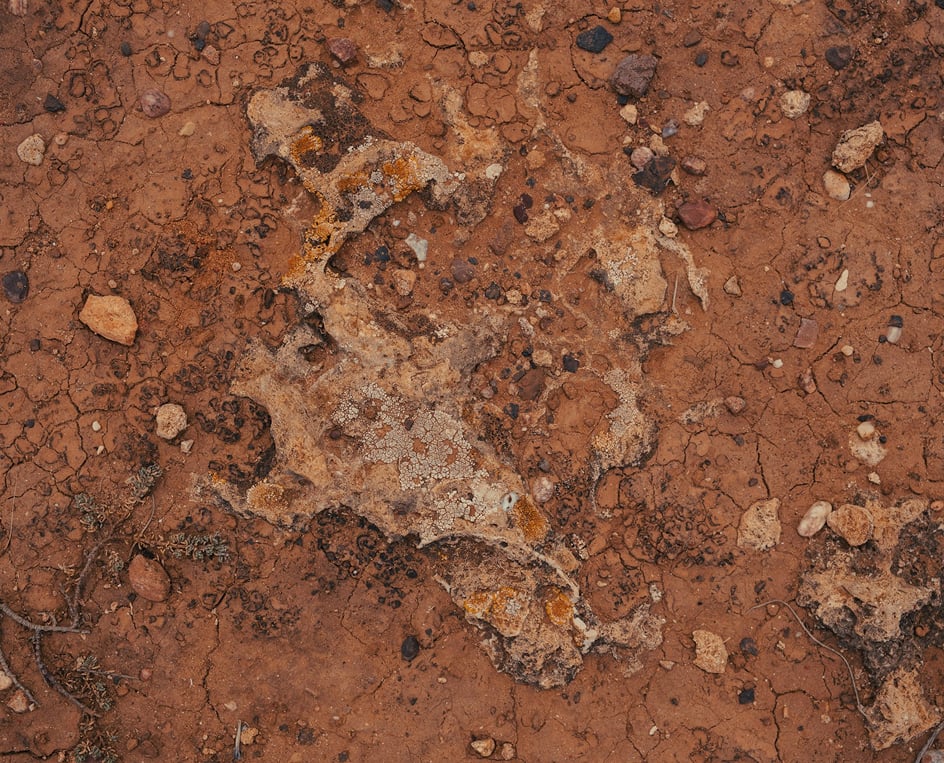 ABEM WalkTEM 2 hero1