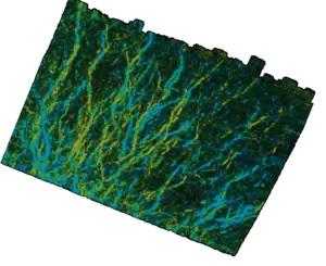 tree roots in GPR data